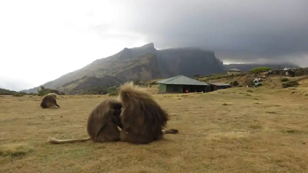 simien mountains national park ethiopia